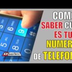 Cómo saber si un numero es telcel o movistar